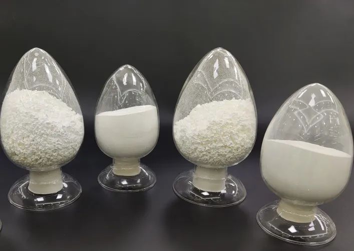 202401130844396095.jpg 202401130844396095.jpg