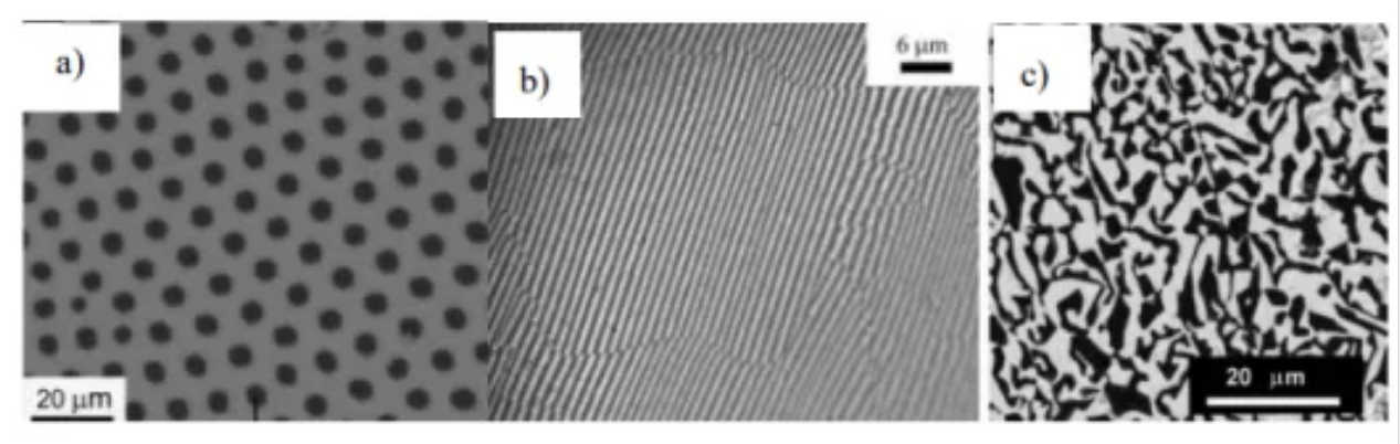 202412231147336872.png 202412231147336872.png